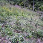 20112308130806-506.jpg